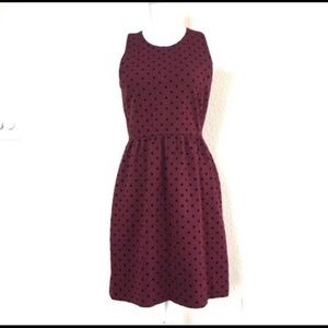 J Crew polka dot Dress